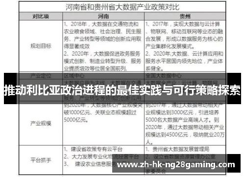 推动利比亚政治进程的最佳实践与可行策略探索