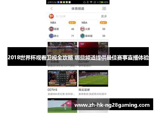 2018世界杯观看卫视全攻略 哪些频道提供最佳赛事直播体验