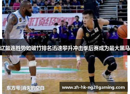 辽篮连胜势如破竹排名迅速攀升冲击季后赛成为最大黑马